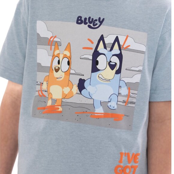 Bluey Boys' Short Sleeve Graphic Tee and Shorts Set, 2-Piece, Size 6 NWT - Picture 4 of 7